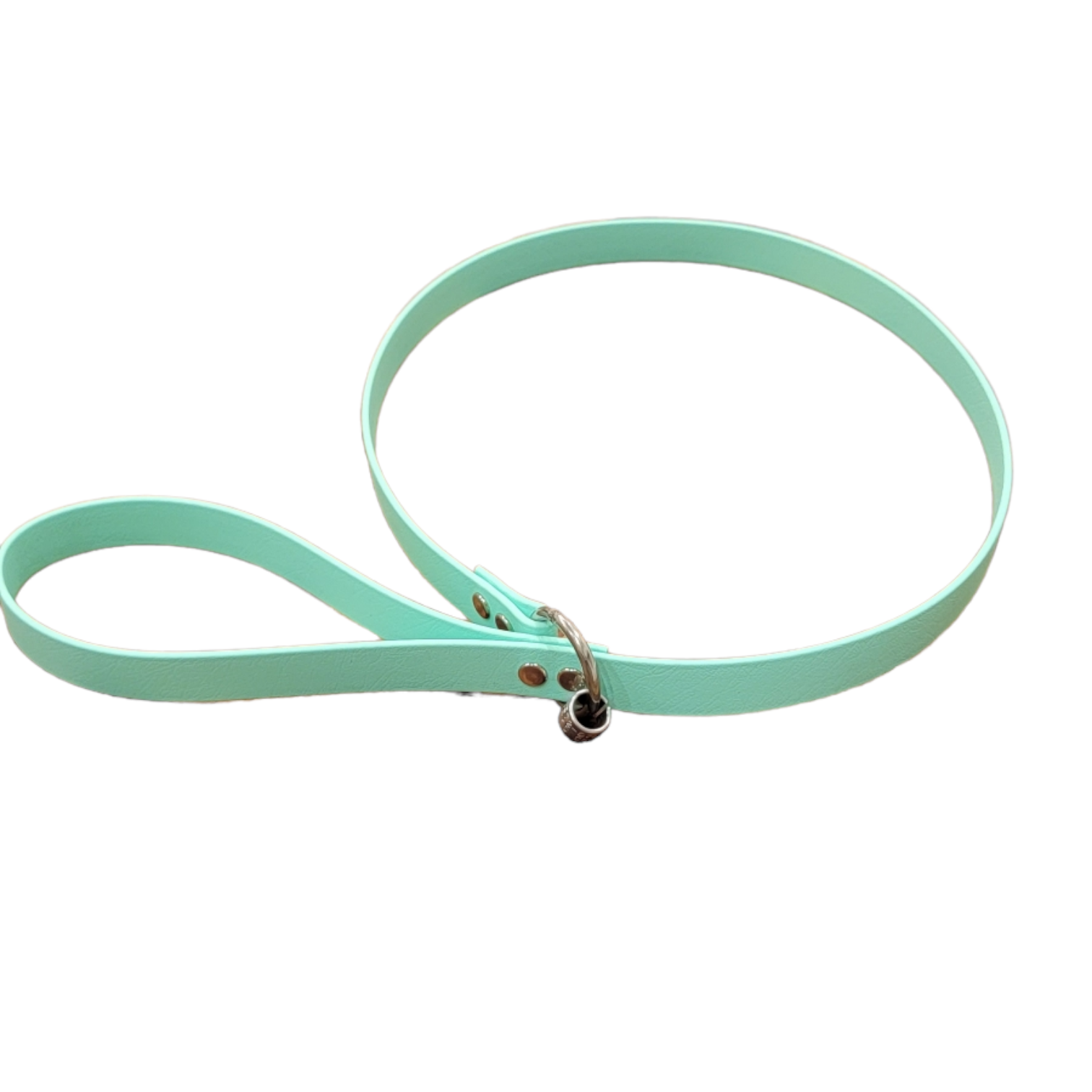 Shops flat slip lead